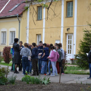 NID-5371_NID-5371_felsoslelkigyakorlat-018.jpg