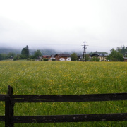 NID-3443_DSCF2683.JPG