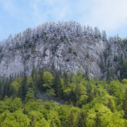 NID-3443_DSCF2707.JPG
