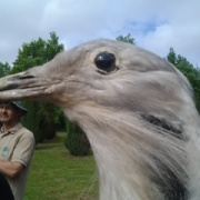 NID-5417_2014-05-08 09.46.46.jpg