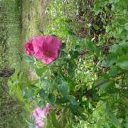 NID-5417_2014-05-08 09.58.10.jpg