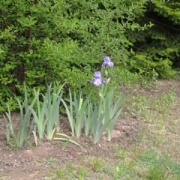 NID-5417_2014-05-08 10.06.16.jpg
