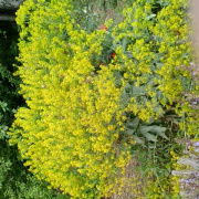 NID-5417_20140508_110416.jpg