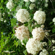 NID-5417_20140508_110904.jpg
