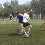 NID-5428_NID-5428_foci_kupa077.jpg