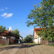 NID-5438_IMG_7931.JPG