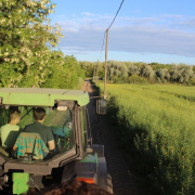 NID-5438_IMG_8001.JPG