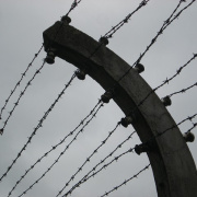 NID-5443_Lengyelorszag094.JPG