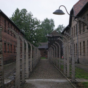 NID-5443_Lengyelorszag185.JPG