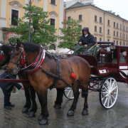 NID-5443_Lengyelorszag383.JPG