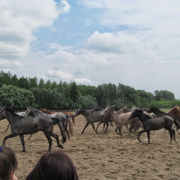 NID-5458_IMG_5901.JPG