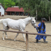 NID-5458_IMG_5905.JPG