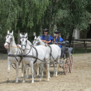 NID-5458_IMG_5908.JPG