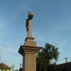 CIMG1092.JPG