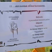 NID-5487_rozsakert_avato061.JPG
