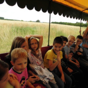 NID-5546_CIMG1350.JPG