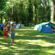NID-5550_NID-4593_Tiszaug07.JPG