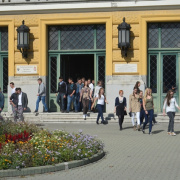NID-5823_filmforgatas016.JPG