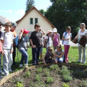 NID-5477_DSCF6609.JPG