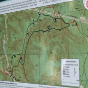 NID-5477_DSCF6737.JPG