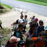 NID-5477_DSCF6741.JPG