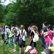NID-5477_DSCF6752.JPG