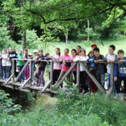 NID-5477_DSCF6829.JPG