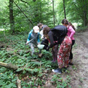 NID-5477_DSCF6840.JPG