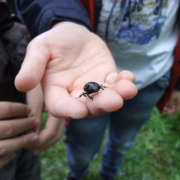 NID-5477_DSCF6899.JPG