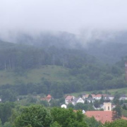 NID-5477_DSCF6962.JPG