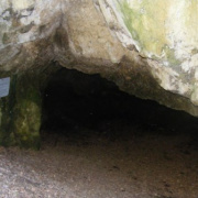 NID-5477_DSCF7017.JPG