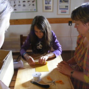 NID-5477_DSCF7076.JPG