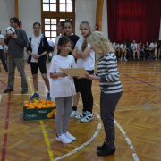 NID-6053_felsosport052.jpg