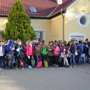 NID-5358_kolt01.jpg