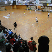 Rakoczi_kupa090.JPG