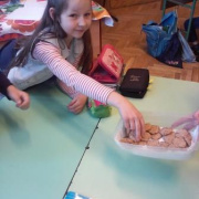 20150420_103307.jpg