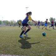 NID-6333_focikupa021.JPG