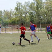 NID-6333_focikupa090.JPG