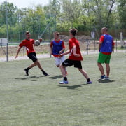 NID-6333_focikupa093.JPG