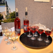 NID-6354_konyvbemutato201.JPG