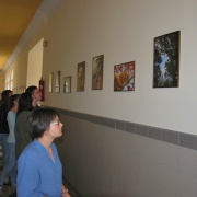 NID-6360_fotokiallitas22.JPG