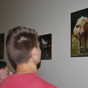 NID-6360_fotokiallitas25.JPG