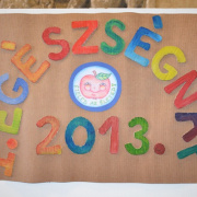 NID-5156_alsos_egeszsegnap022.JPG