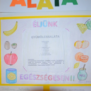 NID-5156_alsos_egeszsegnap029.JPG
