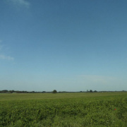 NID-5416_okogazd7a011.jpg