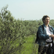 NID-5416_okogazd7a013.jpg