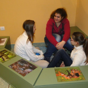 NID-5236_Kiralyret004.jpg