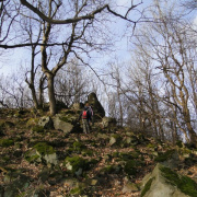 NID-5236_Kiralyret039.jpg