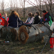 NID-5236_Kiralyret057.jpg
