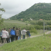 NID-5459_osztkir8c024.jpg